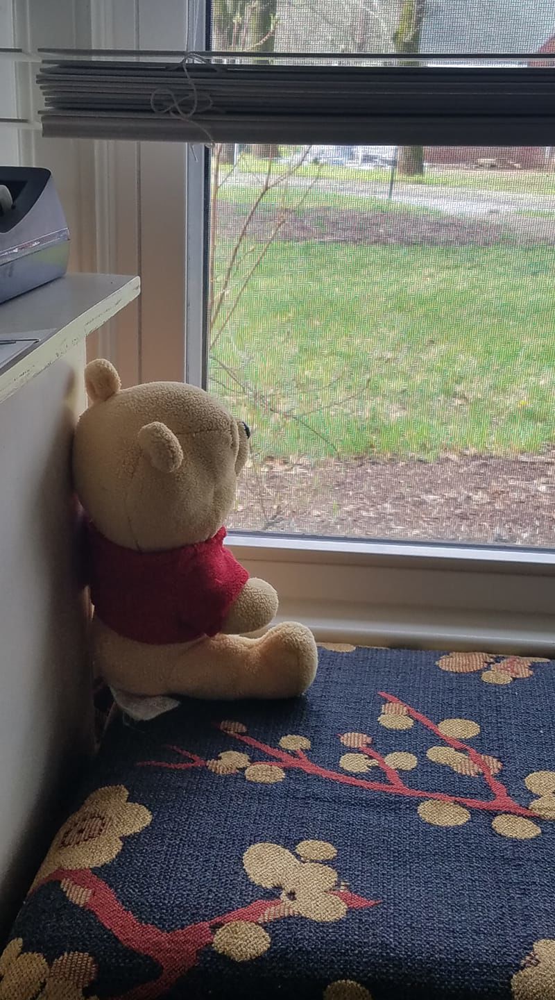 bear hunt photos (5).jpg